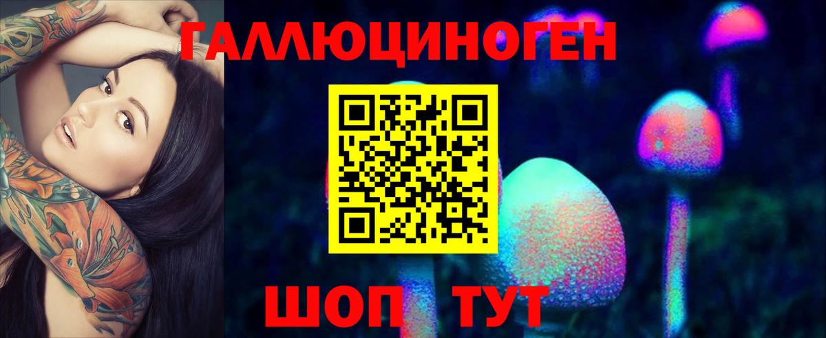 Псилоцибиновые грибы GOLDEN TEACHER  Вход с VPN  Балашов 